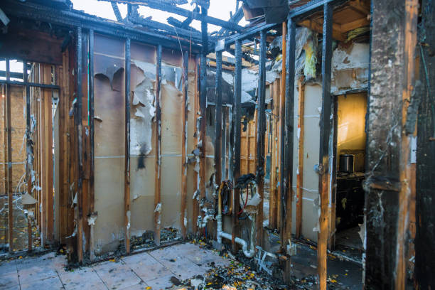 Professional Fire Damage Removal technician working in Northfield, KY