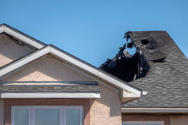 Top rated local Fire Damage Removal specialists in Northfield, KY